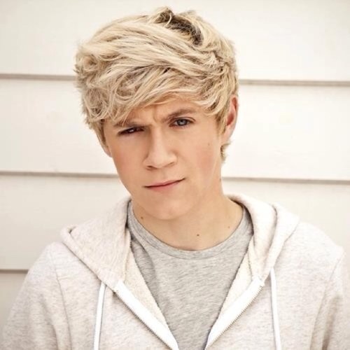 I love one direction please follow me thx