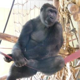 Tonytramcar's profile picture. 