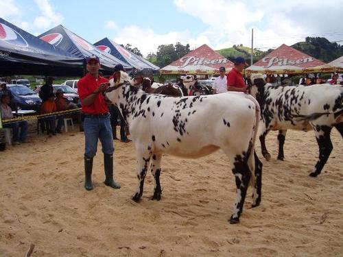 AndresPosada17's profile picture. 