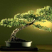 Indoor Garden (@indoorgardening) Twitter profile photo Indoor Garden (@indoorgardening) Twitter profile photo