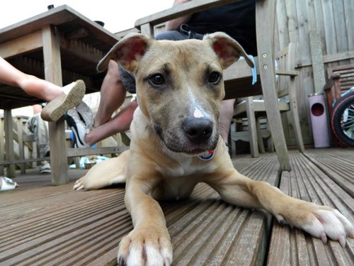 pictureframe3's profile picture. 