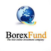 BorexFund has a very devoted and expert financial team and advisors. They provide you with some of the best solutions regarding investing money.
