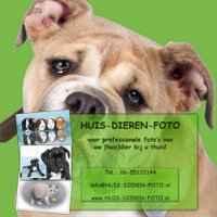 HUIS-DIEREN-FOTO(@HUISDIERENFOTO) 's Twitter Profile Photo