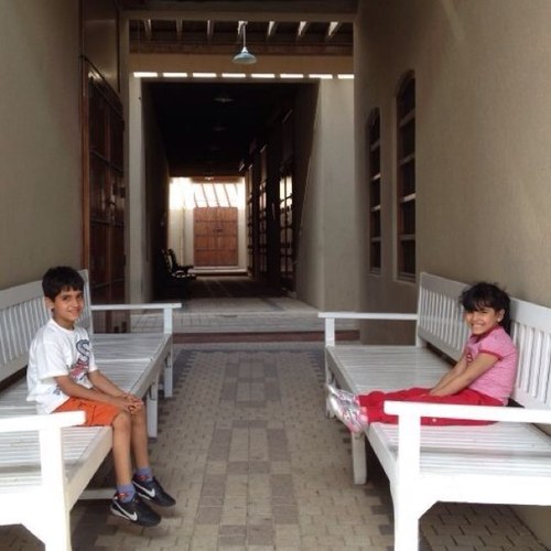 ShaSh0o's profile picture. 