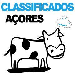 Site de classificados exclusivamente dos Açores. Visite-nos!