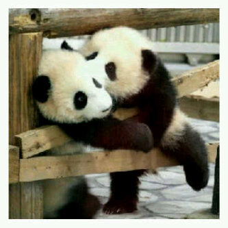 merumartha's profile picture. Bukan sekedar berharap untuk menjadi yg lebih baik