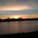 Marla Noble - @NobleMarla - Twitter