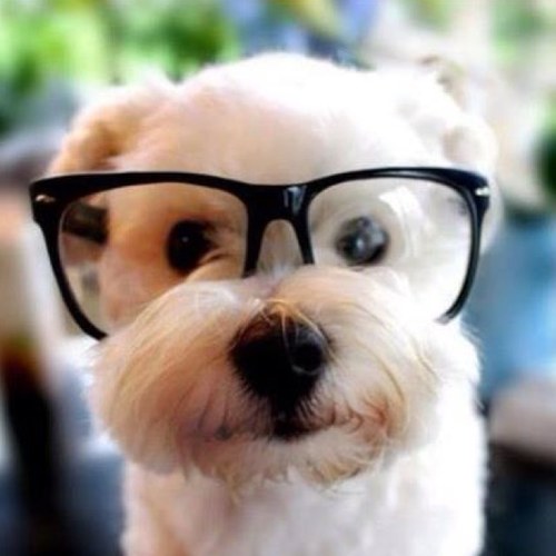 nicksontom's profile picture. 