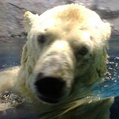 Ryoko グローバーさんがさんま御殿に 縄文土器ってワードが出てドキドキした人は私だけではないはず 土器土器 さんま御殿 縄文土器 弥生土器 どっちが好き どっちも土器 グローバー 東インド貿易会社マン レキシ