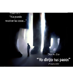 alejandroleon8's profile picture. 