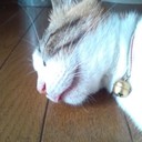 ゆきฅ^._.^ฅ (@0324kirinrin) Twitter