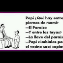 David manuel - @DavidDavidsom - Twitter