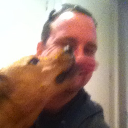 Investment professional with a passion for sports, travel, food, craft beer, and dogs.
