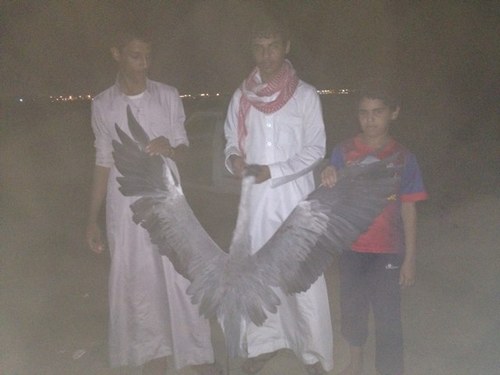 ‏‏‏ربعي معبد عسكر البارود   وطعونهم بالقوم تنشافي