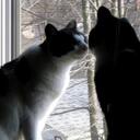 Amy Beth Ramey - @abramey - Twitter