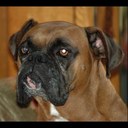 Tom Fries - @buckdem - Twitter