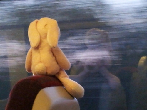 heavyd_london's profile picture. Chase your dreams. Catch them. Live them. See mine come alive at my website below!