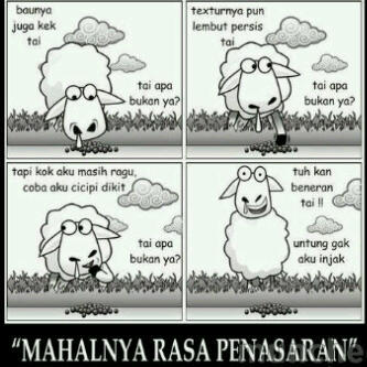 Bb aku sudah sehattttt