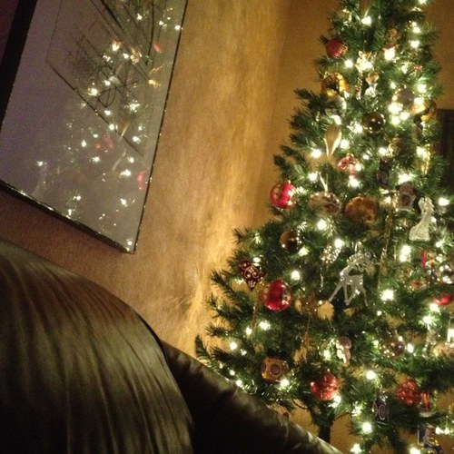 PeaceAngelica's profile picture. 15 year old girl. Lost a good friend in tragic accident. Lost.