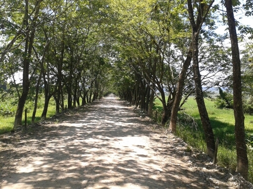 RicharMo80's profile picture. 