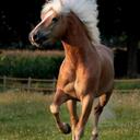 lupe dominguez - @soccergril - Twitter