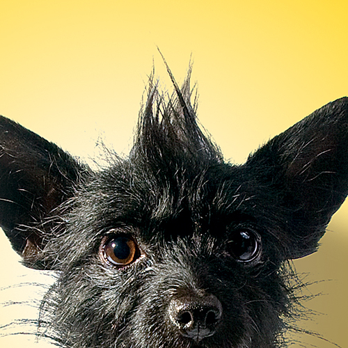 bverycreative's profile picture. Creative nuggets to help you look at things differently. | Creative Development, Graphic Design, Advertising, Brand Marketing