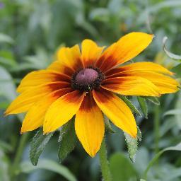 JCGF122's profile picture. 