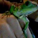 Mathew Good - @matamanterrapin - Twitter