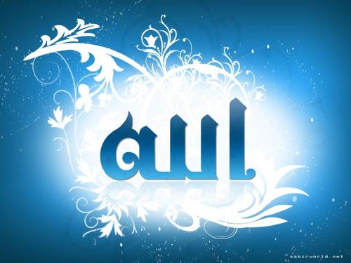 الحرية ولد بها الإنسان وحجبها الإنسان عن أخيه الإنسان