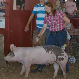 love's farming. member of FFA and 4-H. i'm also a firefighter. follow's back.