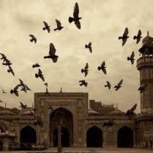 { وَأَحْسِن كَمَآ أَحْسَنَ ٱللَّهُ إِلَيْكَ }