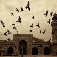 فوائد إسلامية (@fowaideslamia) 's Twitter Profile Photo
