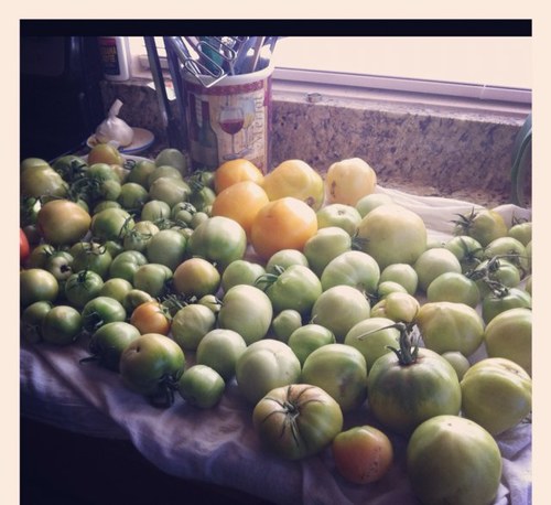 As calm as a fruit stand in NY and maybe as strange.
