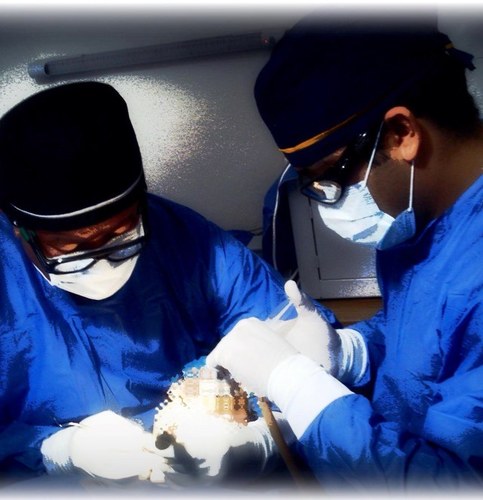 ORTODONCIA Y ORTOPEDIA / IMPLANTOLOGIA BUCAL