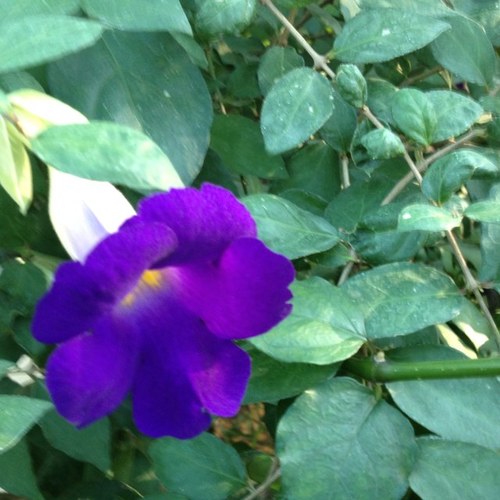 mmn_R's profile picture. 