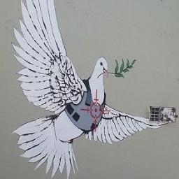 Bill_Lenner's profile picture. Banksy street art West Bank, Palestine used via (CC by 2.0). Attr 4 photo: eddiedangerous w/ no connection to this acct. 🌊#TheResistance 🌊 #NeverBernie🌻