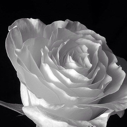 IHeartPolyvore's profile picture. I make outfits on Polyvore3