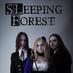 SLeeping Forest (@slforest_band) Twitter profile photo