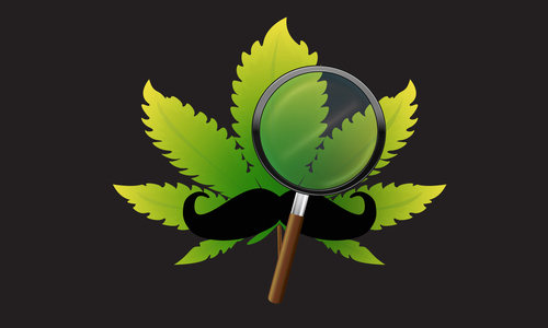 greeanleaf's profile picture. I need the world to see hemp the way we hemp users see.