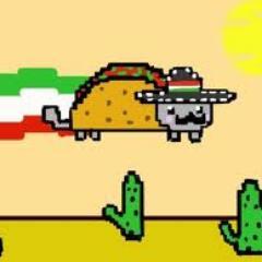 Follow for Random&Funny stuff. ~ Your favorite Cat ▪Taco Nyan▪