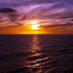 Driveucrazyau1's profile picture. 