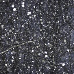 NoSnowProbs's profile picture. Wait, what is snow?
