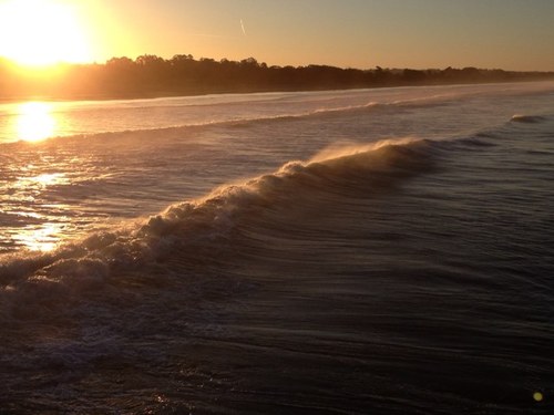 NipomoM's profile picture. 