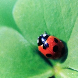 Haijin.I'm writing Haiku,poetry. I love nature,flowers,birds. https://t.co/ze24AseaiW https://t.co/1aVXocAh1E https://t.co/T1rspHGjps