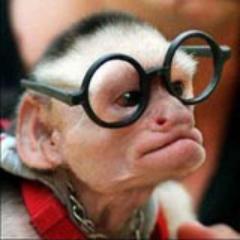 We love our pets. Follow us for a variety of cute, funny, and bizarre pictures of animals from around the world!