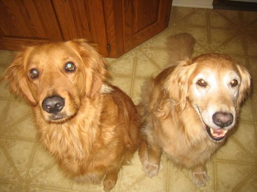 sara_other's profile picture. social work extraordinaire | opinions my own