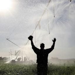 OrdRiverFarming's profile picture. 