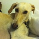 georgia jack - @georgia_jack - Twitter