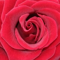 Bristol Labour (@bristollabour) 's Twitter Profile