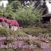 Rhododendron Garden (@RhodyGarden) Twitter profile photo